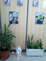 /album/o-nosso-centro-fotos-/a2012-06-30-146-copia-jpg/